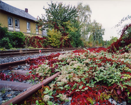 Gerolzhofen