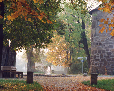 Gerolzhofen