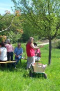 weinwaldgastlichkeit001.jpg