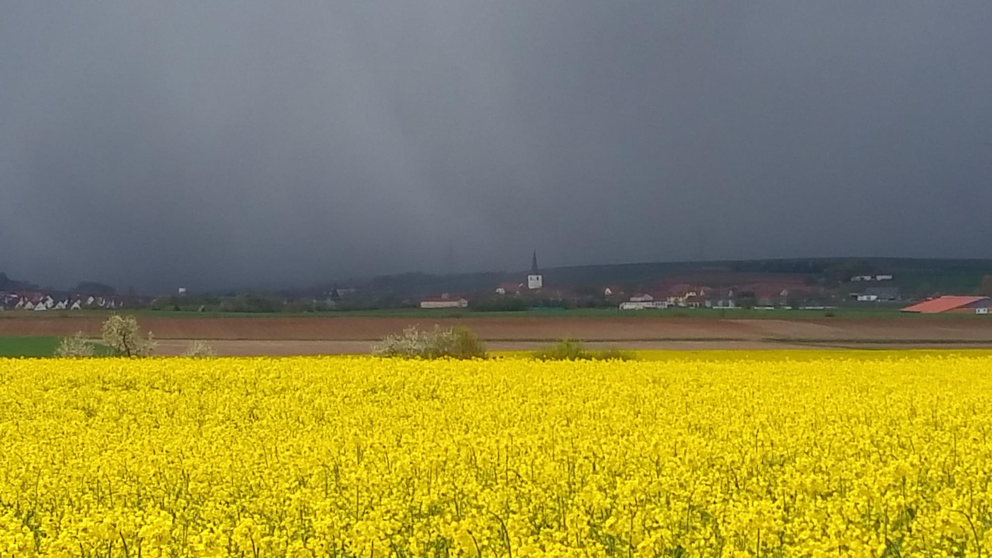Unternehmen - gerolzhofen.de
