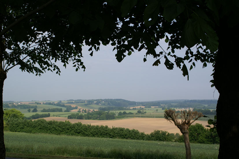 PICT0079