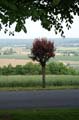 PICT0080
