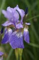 PICT0091