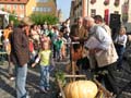 IMG_0464