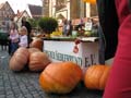 IMG_0467