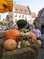 IMG_0470