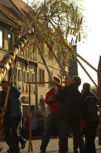 Maibaumaufstellen Gerolzhofen 022