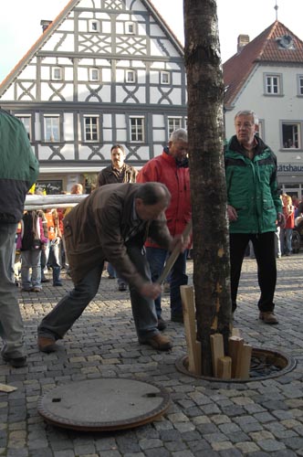 Maibaumaufstellen Gerolzhofen 064