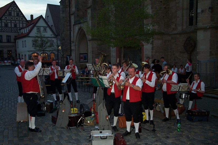 Maibaum_Kroenung05_015.jpg