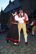 Maibaum_Kroenung05_017.jpg