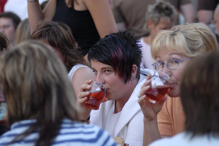 05 Weinfest Gerolzhofen - Bilder von Sergej Chernoisikov 030